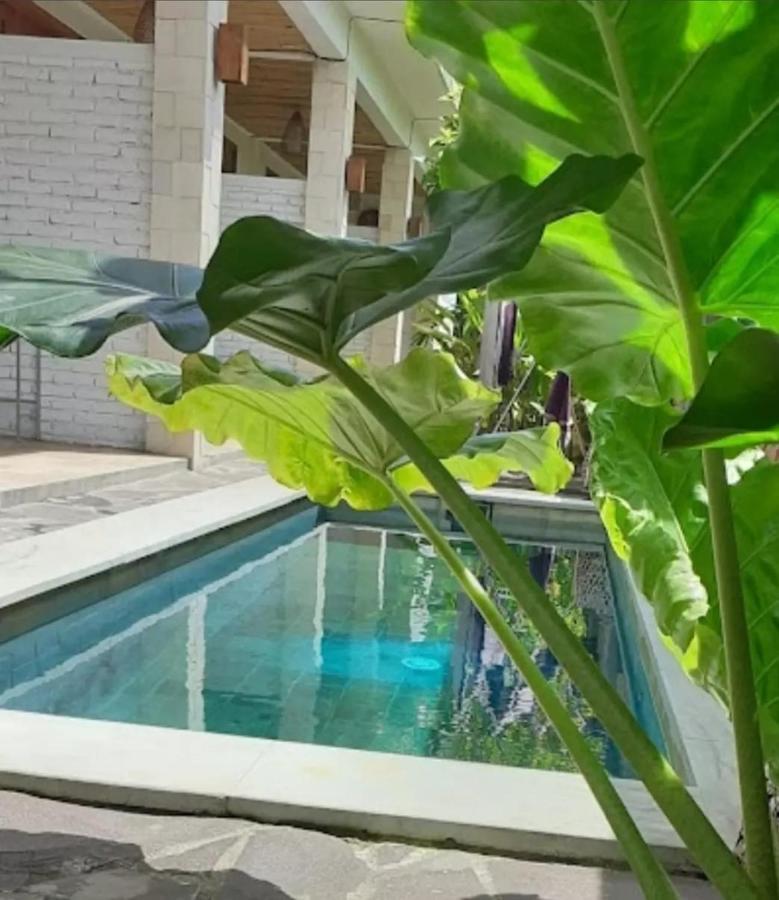 Surya Lombok Accommodation Selong Belanak Dış mekan fotoğraf