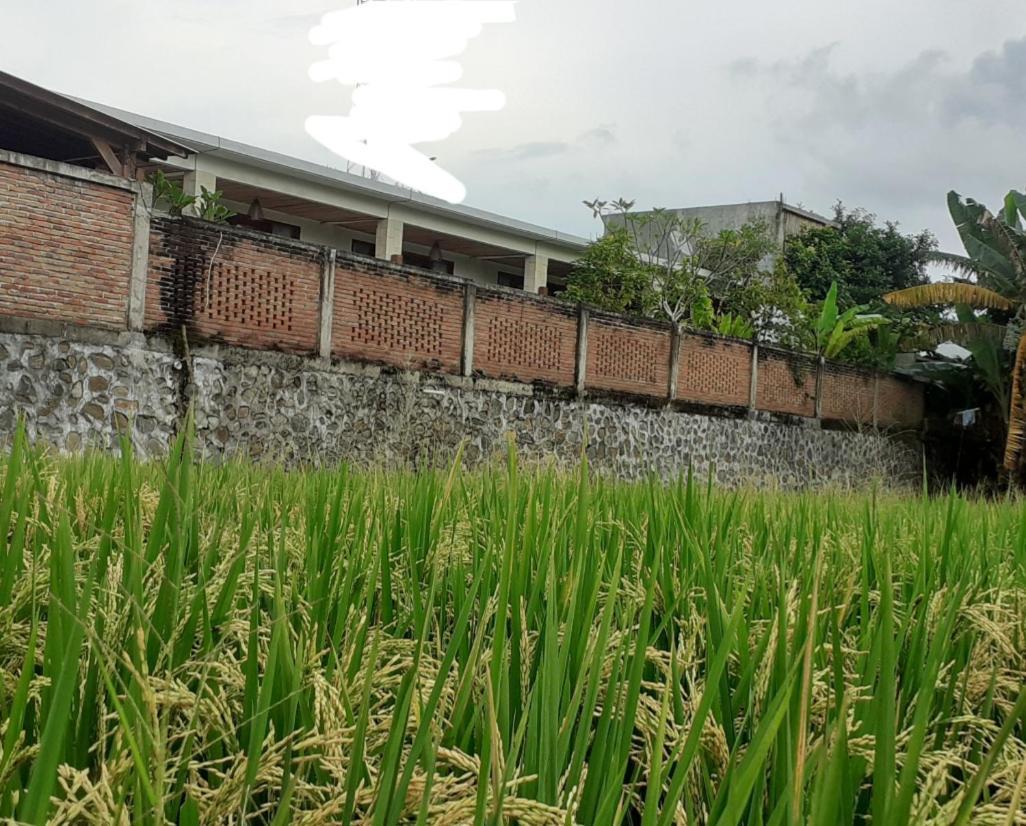 Surya Lombok Accommodation Selong Belanak Dış mekan fotoğraf